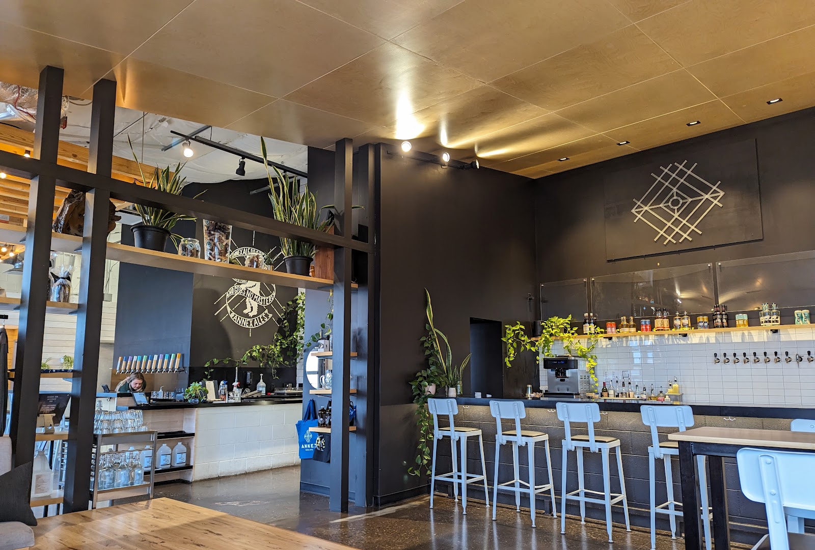 Annex Ale Project