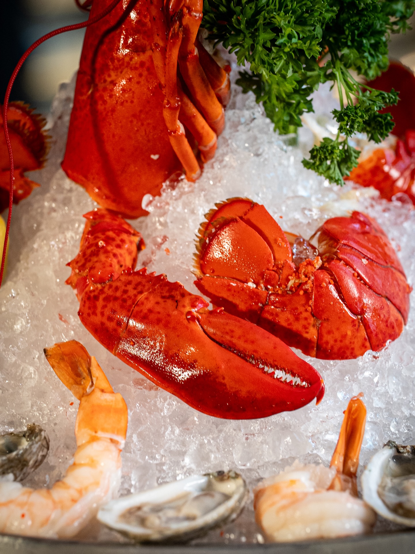 Weekend plans, served on ice 🦞✨ Treat yourself to succulent lobster, chilled oysters, and all the ocean-fresh indulgenc