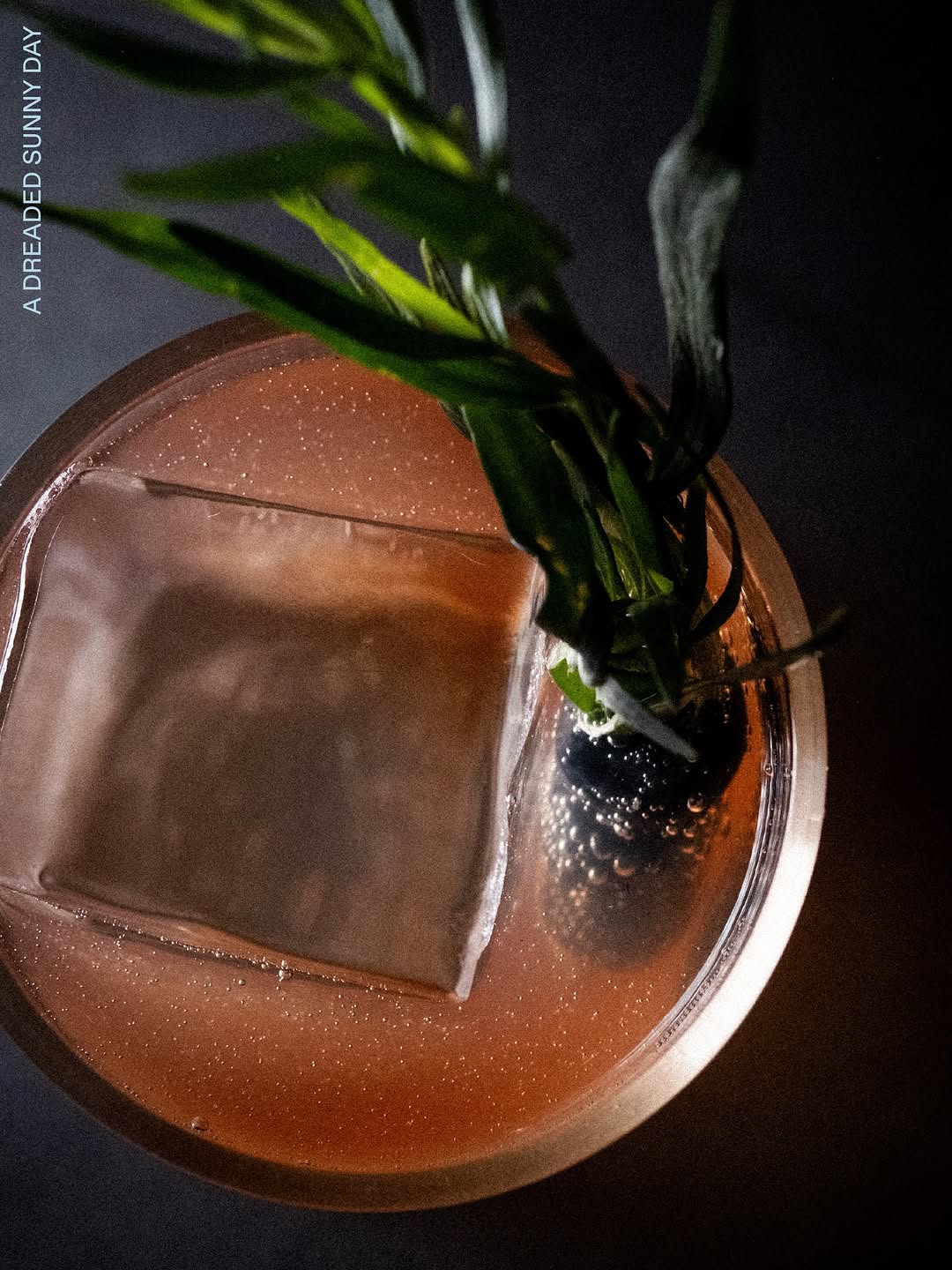 Our new drinks got their close-ups 📸