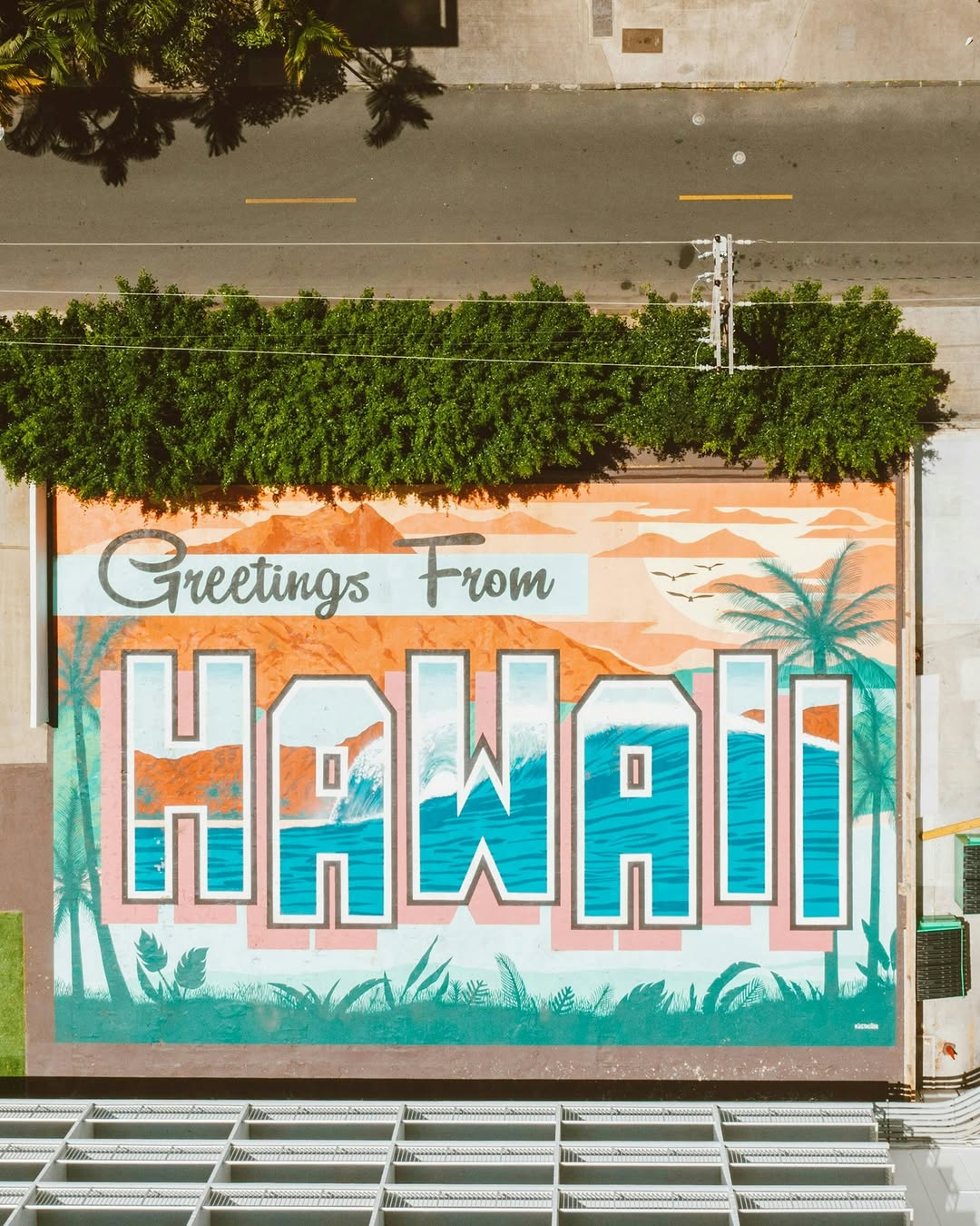 A tropical escape within the concrete jungle 🌴 Greetings from Lulu!