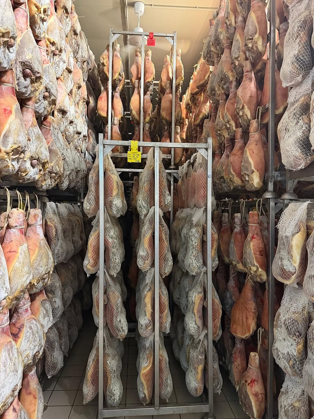 Vignola, what a special place, cured meats, gramigna, balsamic, borlenghi, and so much more but these are so specific to