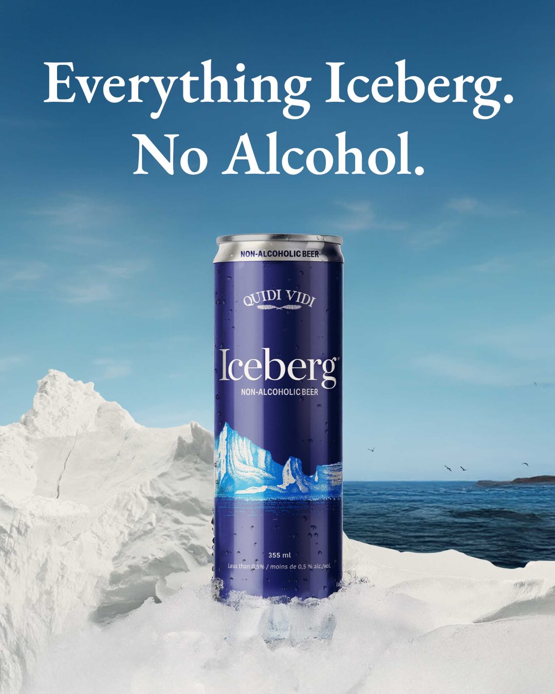 Iceberg Non-Alc is brewed to keep you fully part of it.