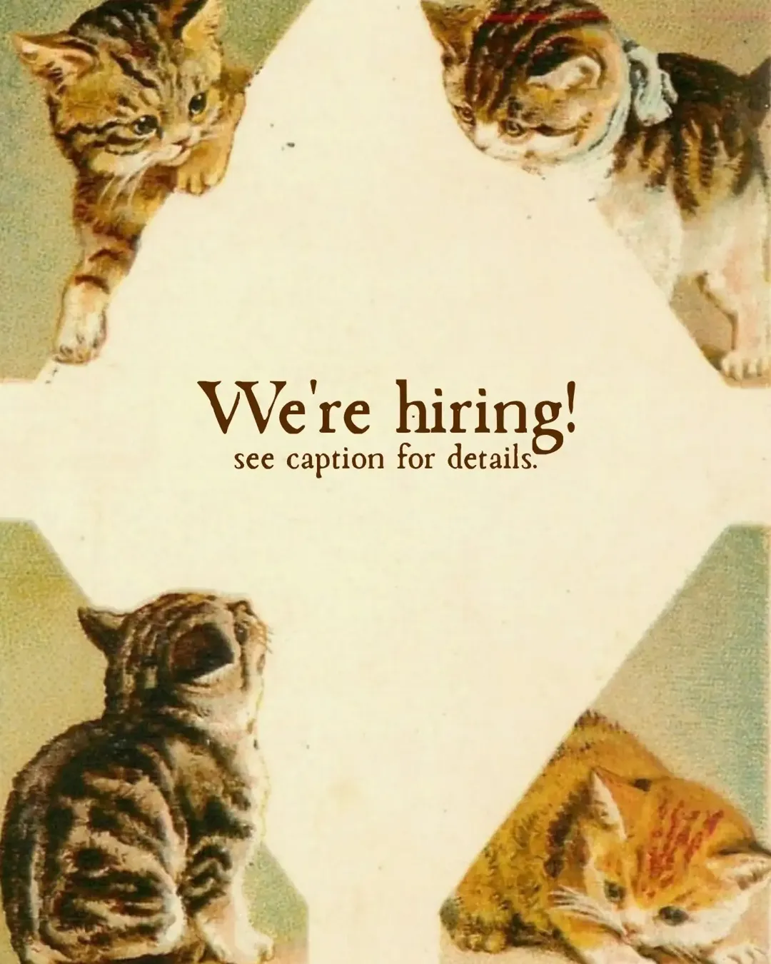 😻☕️🥪Part time Barista, Kitchen, and flex positions available! Apply in person or send us your resume: < toslow.nfld@gm